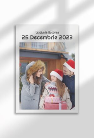 template poster (copie)