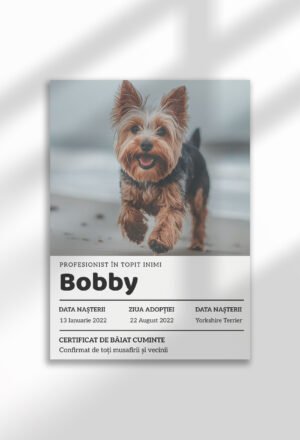 template poster (copie)